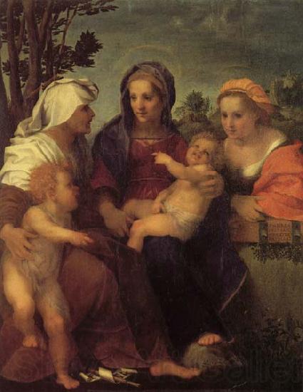 Andrea del Sarto Madonna and Child with St.Catherine Norge oil painting art